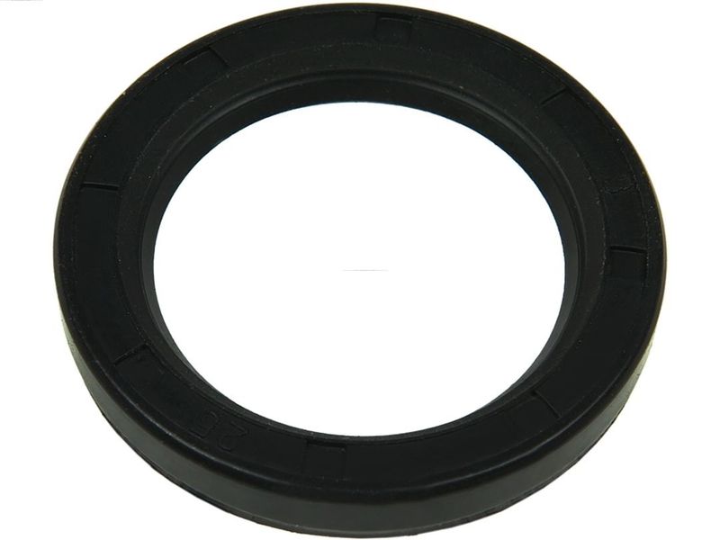 AS-PL SRS9078S Repair Set, alternator