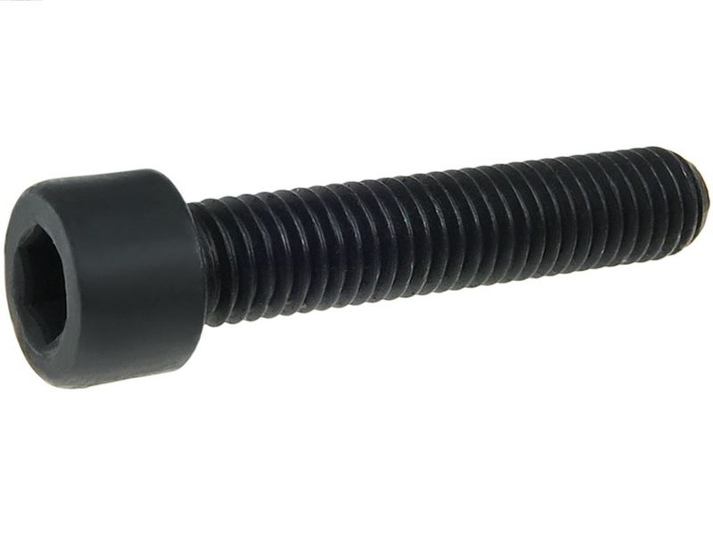 AS-PL SRS9096S Repair Set, alternator