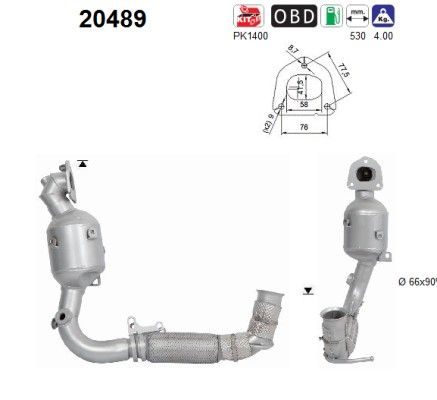 AS 20489 Catalytic Converter