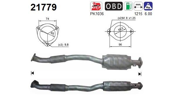 AS 21779 Catalytic Converter
