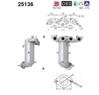 AS 25136 Catalytic Converter