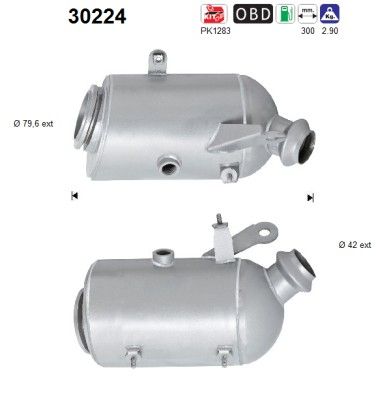 AS 30224 Catalytic Converter