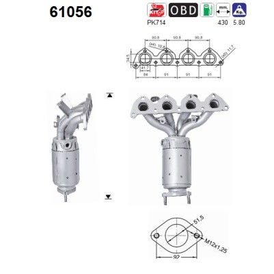 AS 61056 Catalytic Converter