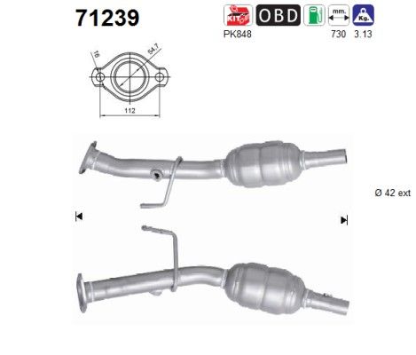 AS 71239 Catalytic Converter