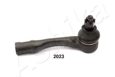 Tie Rod End ASHIKA 111-02-2022R