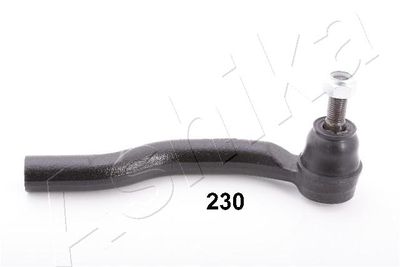 Tie Rod End ASHIKA 111-02-230L