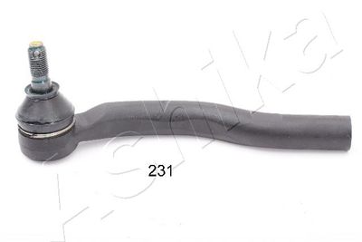 Tie Rod End ASHIKA 111-02-230R