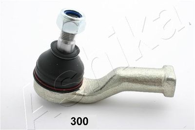 Tie Rod End ASHIKA 111-03-300