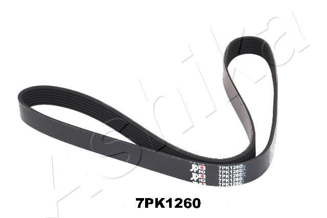 ASHIKA 112-7PK1260 V-Ribbed Belt