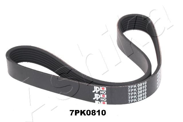 ASHIKA 112-7PK810 V-Ribbed Belt