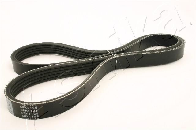 ASHIKA 112-5PK1125 V-Ribbed Belt