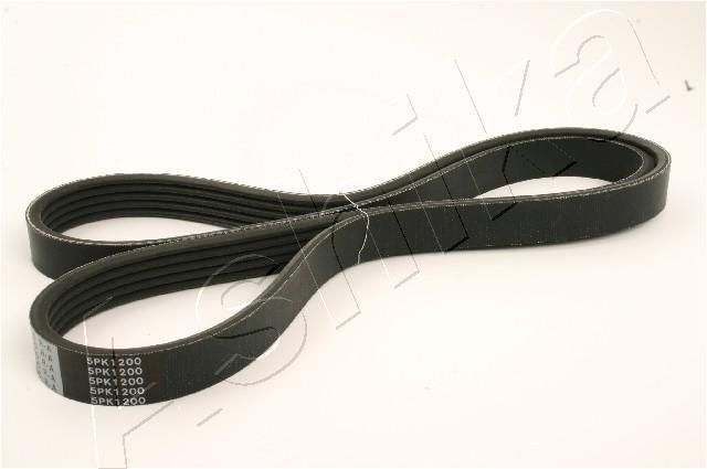 ASHIKA 112-5PK1200 V-Ribbed Belt