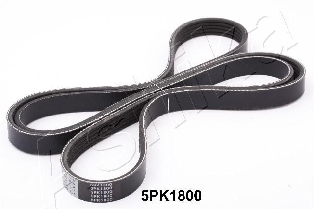 ASHIKA 112-5PK1800 V-Ribbed Belt