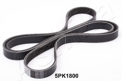 V-Ribbed Belt ASHIKA 112-5PK1800