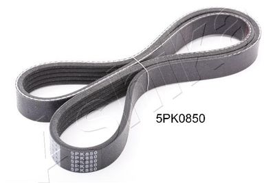 V-Ribbed Belt ASHIKA 112-5PK850