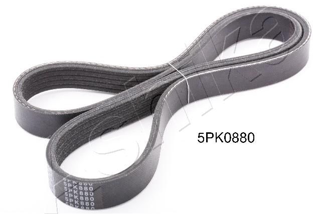 ASHIKA 112-5PK880 V-Ribbed Belt