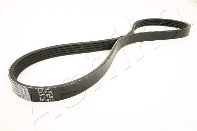 ASHIKA 112-5PK885 V-Ribbed Belt