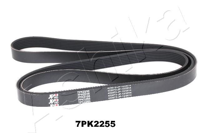 ASHIKA 112-7PK2255 V-Ribbed Belt