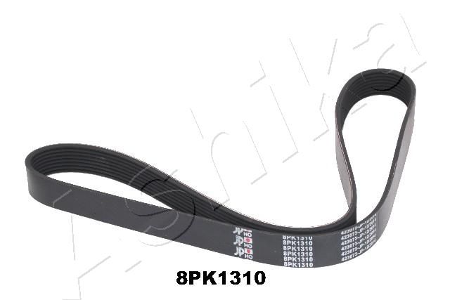 ASHIKA 112-8PK1310 V-Ribbed Belt
