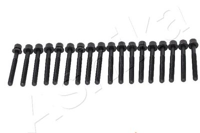 Cylinder Head Bolt Set ASHIKA 115-01-102