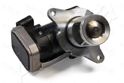 EGR Valve ASHIKA 150-00-0512