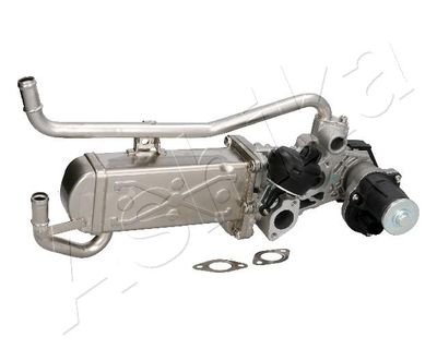 EGR Valve ASHIKA 150-00-0910