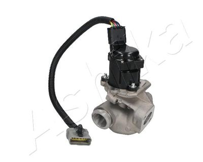 EGR Valve ASHIKA 150-00-0306