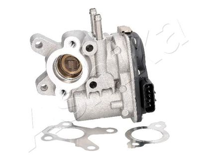 EGR Valve ASHIKA 150-01-108