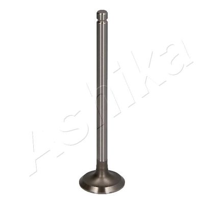 Exhaust Valve ASHIKA 15MI003