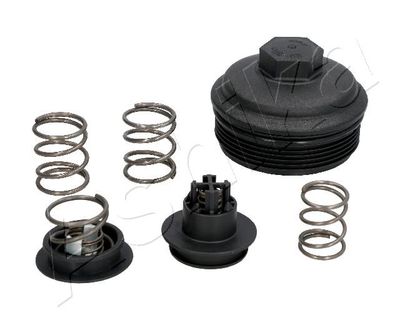 Cap, oil filter housing ASHIKA 160-00-028
