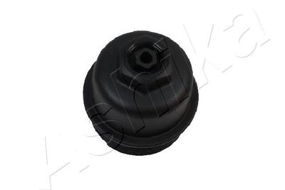 Cap, oil filter housing ASHIKA 160-00-063