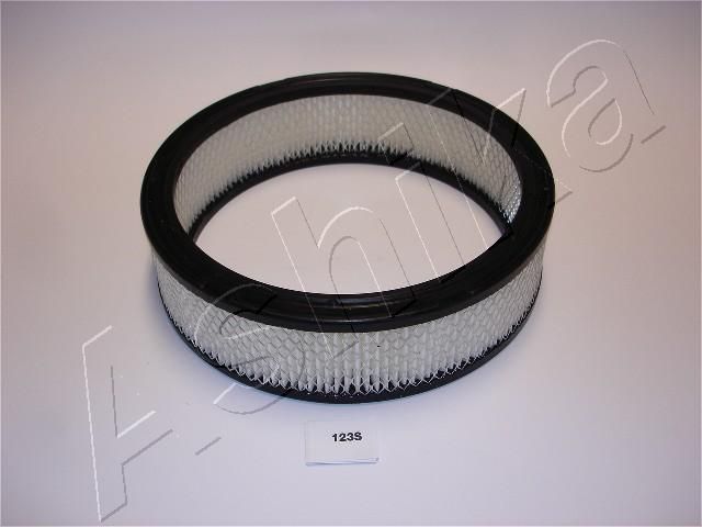 ASHIKA 20-01-123 Air Filter