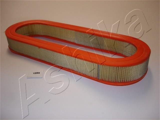 ASHIKA 20-01-125 Air Filter