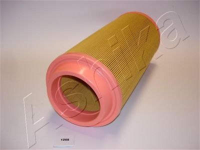 Air Filter ASHIKA 20-01-126