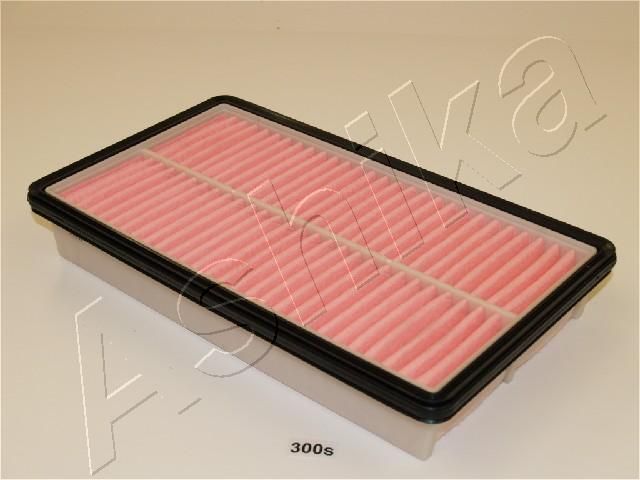 ASHIKA 20-03-300 Air Filter