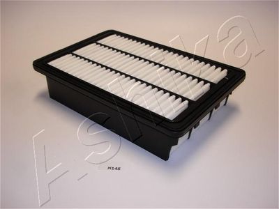 Air Filter ASHIKA 20-0H-H14