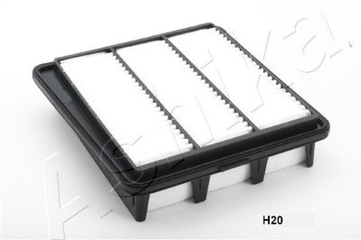 Air Filter ASHIKA 20-0H-H20