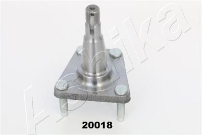 Wheel Hub ASHIKA 44-20018