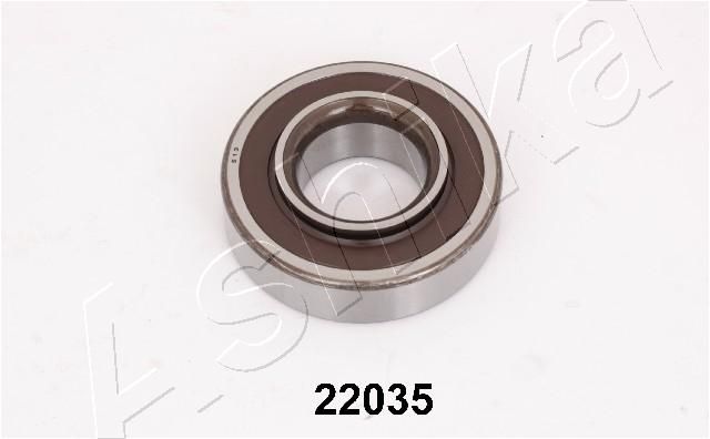 ASHIKA 44-22035 Wheel Bearing Kit