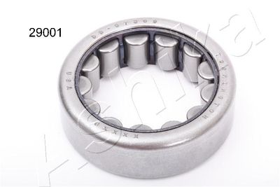 Wheel Bearing Kit ASHIKA 44-29001