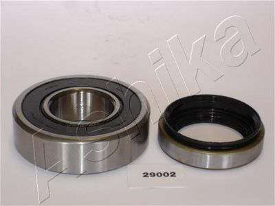 Wheel Bearing Kit ASHIKA 44-29002