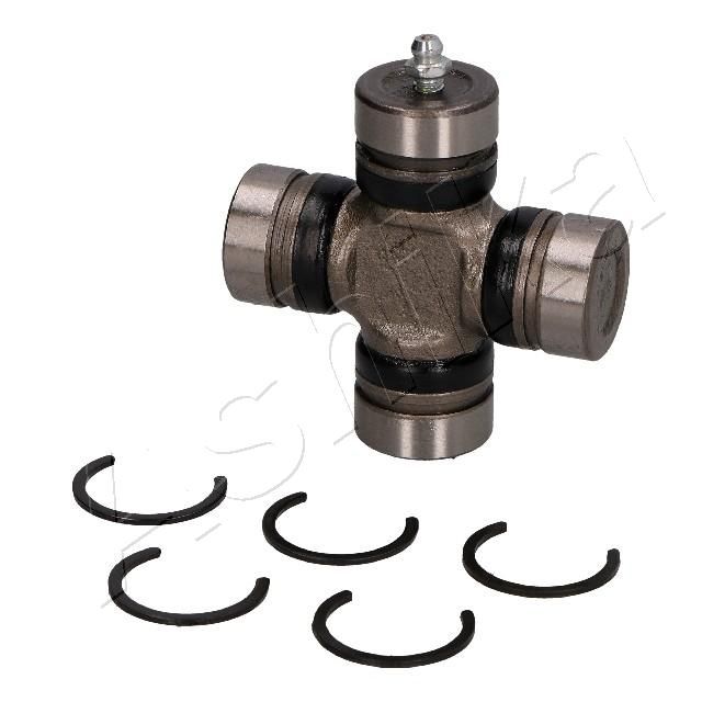 ASHIKA 66-01-101 Joint, propshaft