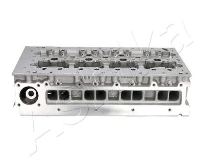 Cylinder Head ASHIKA FI06ES