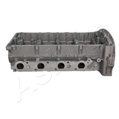 Cylinder Head ASHIKA FO06ES