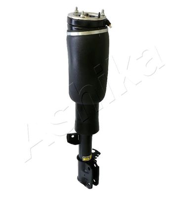 Air Suspension Strut ASHIKA MA-AS081