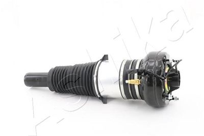 Air Suspension Strut ASHIKA MA-AS108