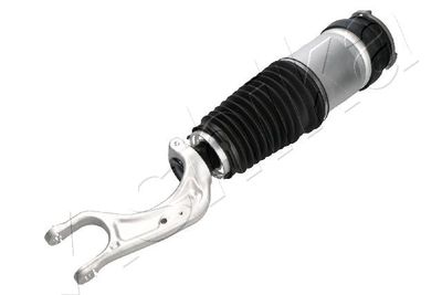 Air Suspension Strut ASHIKA MA-AS197