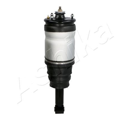 Air Suspension Strut ASHIKA MA-AS020