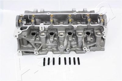 Cylinder Head ASHIKA NS013S