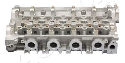 Cylinder Head ASHIKA NS017S